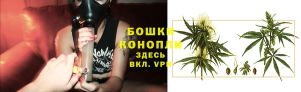 mdpv Белокуриха