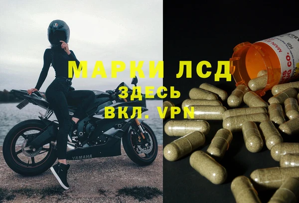 apvp Балахна