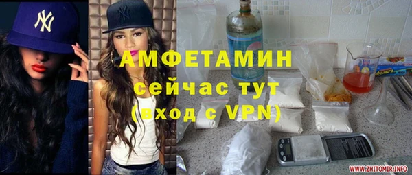 ГАЛЛЮЦИНОГЕННЫЕ ГРИБЫ Балабаново